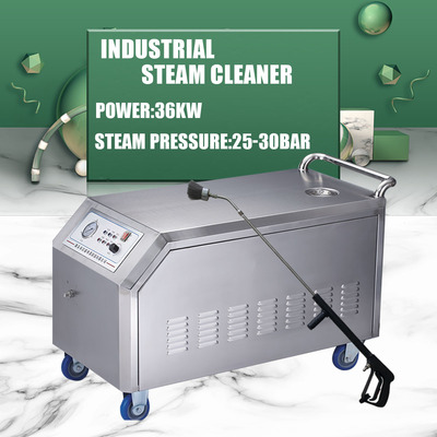 High pressure steam cleaning machine  JNX-G36